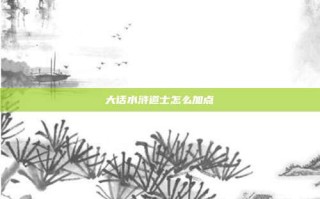 大话水浒道士怎么加点