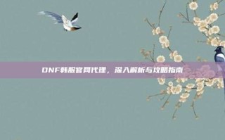 DNF韩服官网代理，深入解析与攻略指南