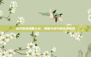 起凡群雄逐鹿土豆，策略与技巧的完美结合