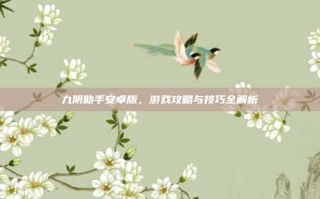 九阴助手安卓版，游戏攻略与技巧全解析