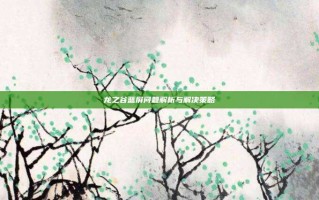 龙之谷蓝屏问题解析与解决策略