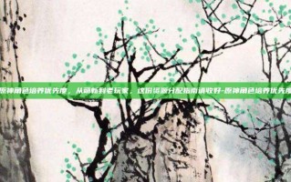 原神角色培养优先度，从萌新到老玩家，这份资源分配指南请收好-原神角色培养优先度