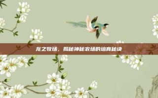 龙之牧场，揭秘神秘农场的培育秘诀