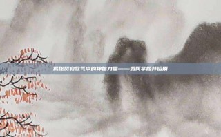 揭秘焚寂煞气中的神秘力量——如何掌握并运用