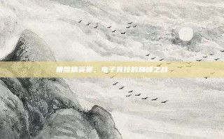 暴雪精英赛，电子竞技的巅峰之战