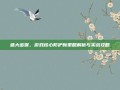 盛大密保，游戏核心防护新策略解析与实战攻略