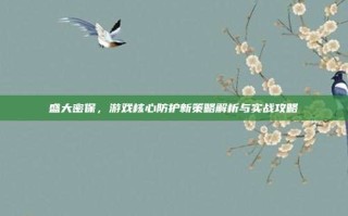 盛大密保，游戏核心防护新策略解析与实战攻略
