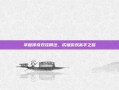 掌握传奇双挂调法，成就游戏高手之路
