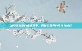 拉斯维加斯的血还没干，揭秘游戏界的传奇与挑战