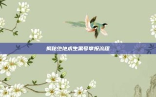 揭秘绝地求生黑号举报流程
