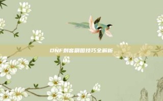 DNF刺客刷图技巧全解析