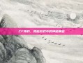 CF海豹，揭秘游戏中的神秘角色