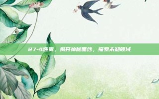 27-4迷雾，揭开神秘面纱，探索未知领域