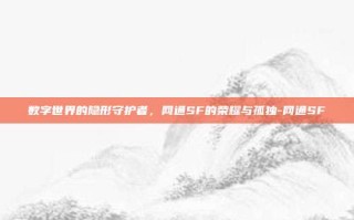 数字世界的隐形守护者，网通SF的荣耀与孤独-网通SF