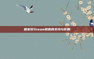 国家对Steam教育的支持与影响