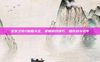 圣女之歌2秘籍大全，掌握游戏技巧，提升战斗效率