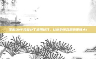 掌握DNF技能补丁使用技巧，让你的游戏角色更强大！