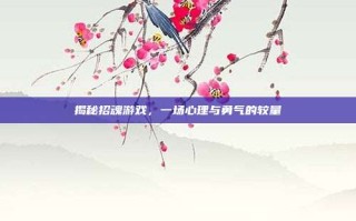 揭秘招魂游戏，一场心理与勇气的较量