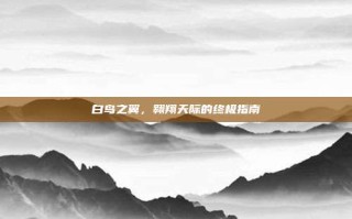 白鸟之翼，翱翔天际的终极指南
