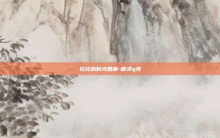托托的时光回廊-精灵q传
