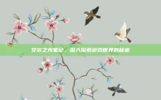 艾尔之光笔记，深入探索游戏世界的秘密