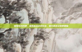 冒险岛双开器，探索高效游戏玩法，助力挑战之路更顺畅