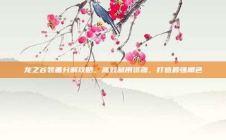 龙之谷装备分解攻略，高效利用资源，打造最强角色