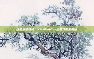 探索未知领域，XixiWaiGua游戏攻略全解析