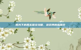 阳光下的真实图文攻略，游戏界的指南针