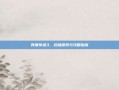 异度传说3，终极探索与攻略指南