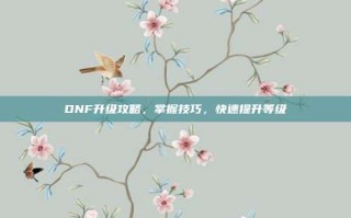 DNF升级攻略，掌握技巧，快速提升等级