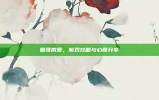 鹏哥的爱，游戏攻略与心得分享