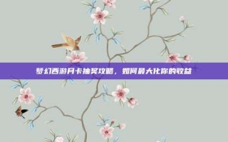梦幻西游月卡抽奖攻略，如何最大化你的收益