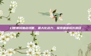 幻想神域加点攻略，最大化战力，探索最优成长路径