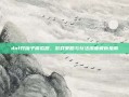 dnf开罐子模拟器，游戏策略与玩法深度解析指南