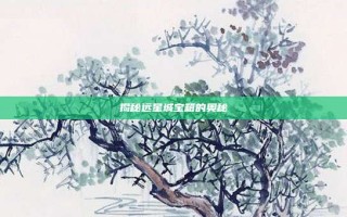 揭秘远星城宝箱的奥秘
