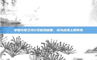 掌握火炬之光2双枪流秘籍，成为战场上的传奇