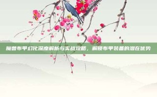 魔兽布甲幻化深度解析与实战攻略，解锁布甲装备的潜在优势