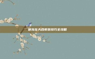 御龙在天合紫装技巧全攻略