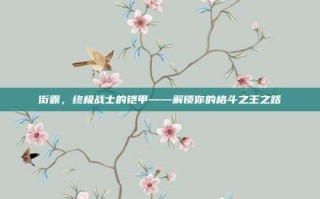 街霸，终极战士的铠甲——解锁你的格斗之王之路