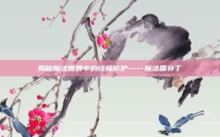 揭秘魔法世界中的终极防护——魔法盾补丁