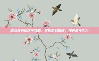 御龙在天凤仪亭攻略，掌握游戏精髓，提升战斗实力