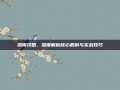 凯南攻略，深度解析核心机制与实战技巧