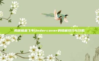 揭秘极品飞车Undercover的隐藏技巧与攻略
