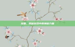 龙魅，揭秘游戏中的神秘力量