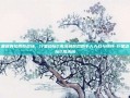 重返奥拉西斯战场，行星边际2激活码背后的千人大战与情怀-行星边际2激活码