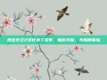 鹰击长空2汉化补丁发布，畅游天际，无障碍体验