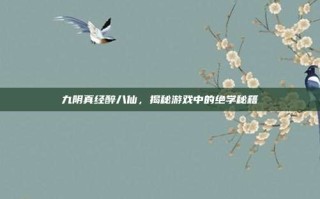 九阴真经醉八仙，揭秘游戏中的绝学秘籍