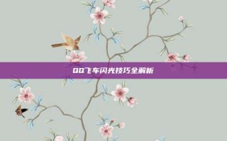 QQ飞车闪光技巧全解析