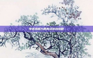 李连杰版九阴真经游戏攻略